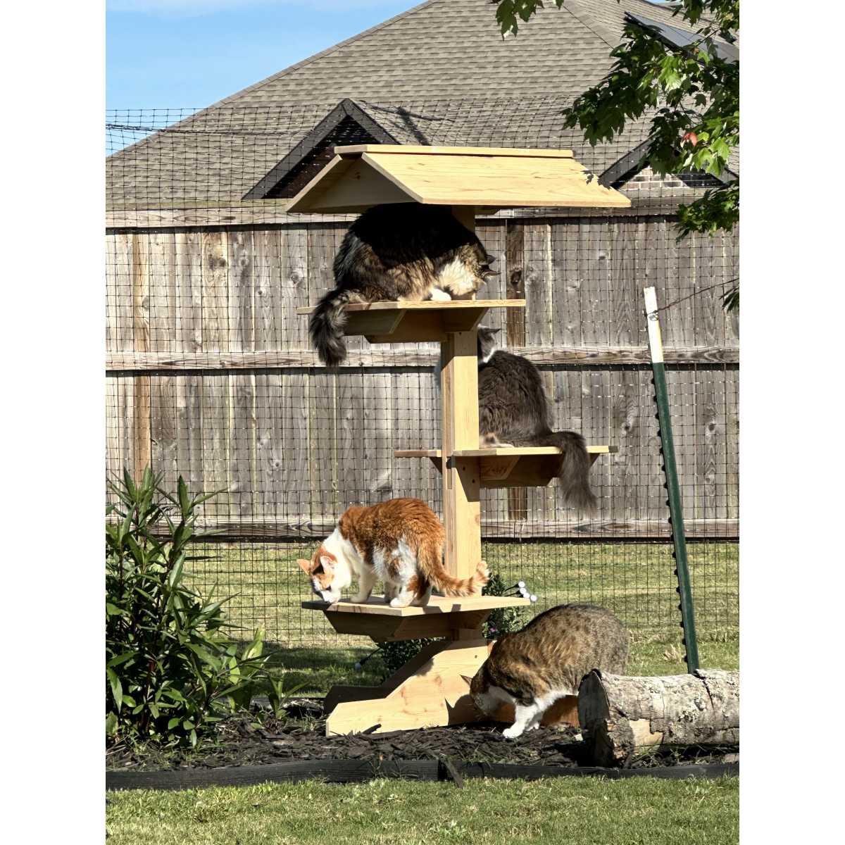 Outdoor cat stand best sale